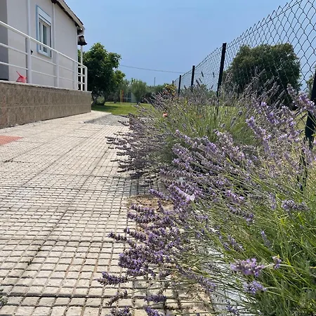 ,,sea Breeze,, - By The Sea * Nea Anchialos