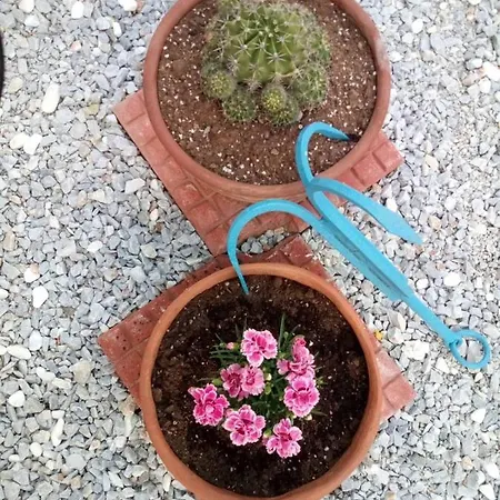 ,,sea Breeze,, - By The Sea * Νέα Αγχίαλος